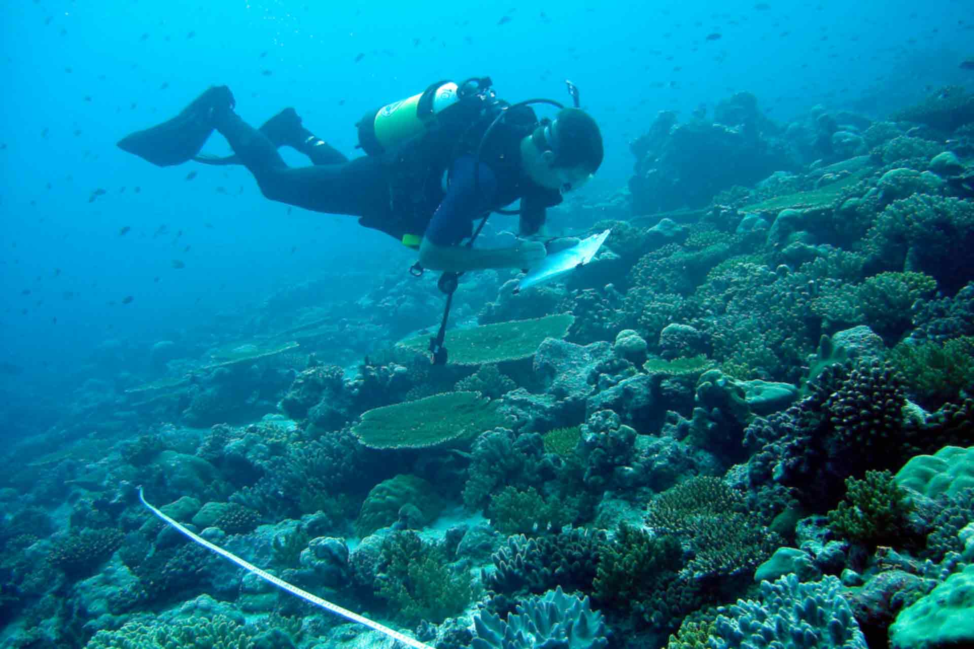 Natural resources company in Okinawa, Tokyo, Japan