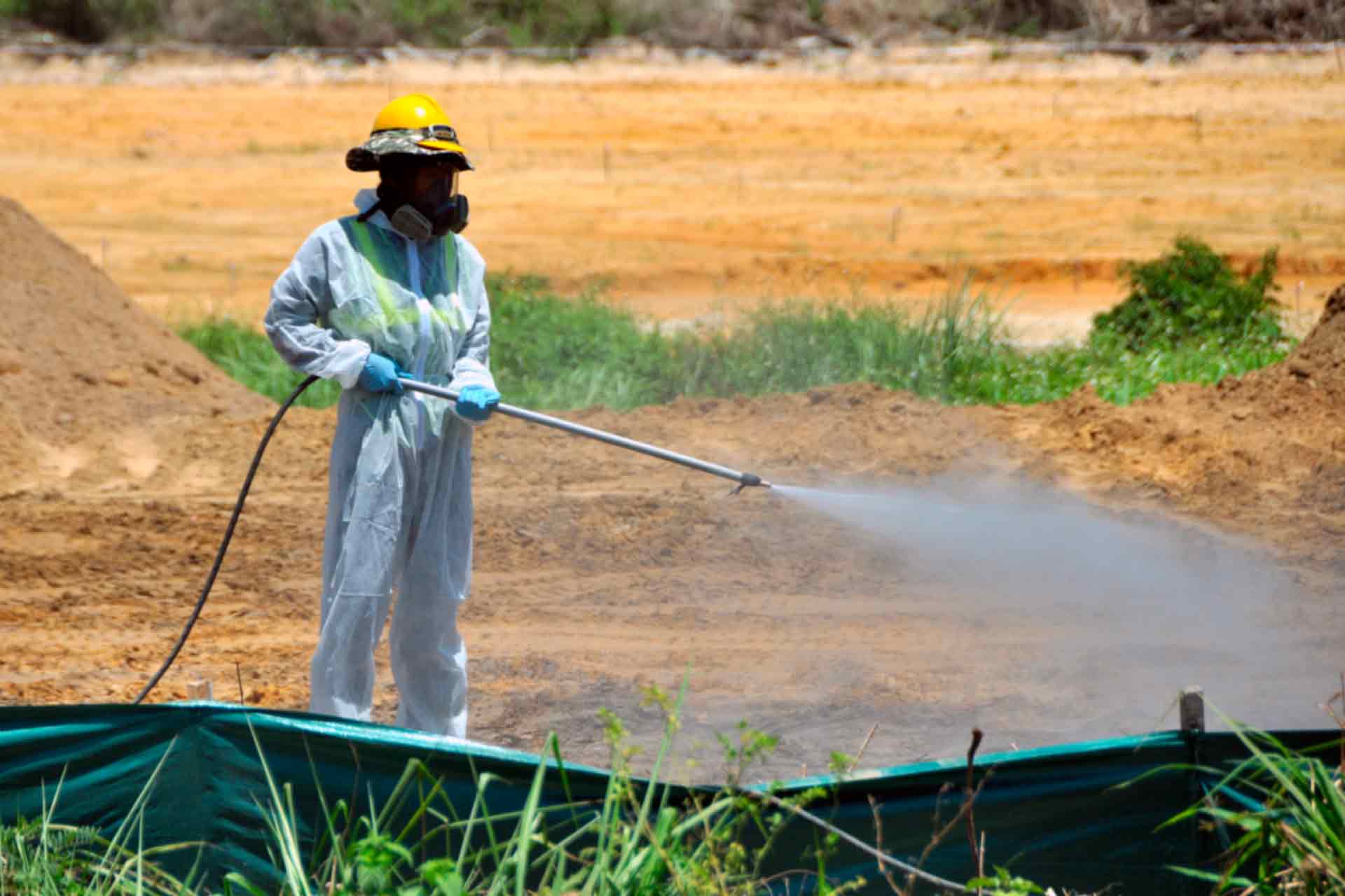 environmental remediation in Okinawa and Tokyo, Japan