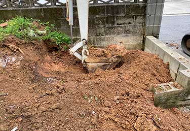 Environmental remediation in Japan