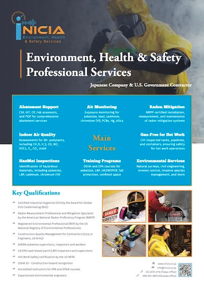 Inicia flyer thumbnail