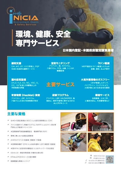 Inicia flyer thumbnail